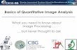 Basics of Quantitative Image Analysis - ImageJ …workshops.imagej.net/Basics-of-Quantitative-image-analysis.pdf · Basics of Quantitative Image Analysis QuickTime_ and a decompressor