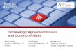 Technology Agreement Basics and Common Pitfalls .Technology Agreement Basics and Common Pitfalls