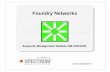 Foundry Networks (9033622-02) - ehealth …ehealth-spectrum.ca.com/support/secure/products/Spectrum_Doc/spec... · The hardware, firmware, or software described in this manual is