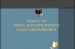 MODULE #3 Views and perceptions about globalization · “African solutions for African problems ... MODULE #3 VIEWS OF BUSINESS Issues emerging from dialogue with business “The