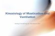 Kinesiology of Mastication and Ventilation - MCCCbehrensb/documents... · Kinesiology of Mastication and Ventilation Eating & breathing are essential to life! Temporomandibular Joint