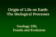 Origin of Life - West Virginia Universitypages.geo.wvu.edu/~kammer/g230/OriginsBiologicalProcesses.pdf · Origins. Sex cells resemble free-living eukaryotes. Cilia are used by free-living