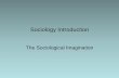 The Sociological Imagination - Mr. Eizyk's Social …mreizyk.weebly.com/uploads/4/9/7/0/4970156/sociology_intro.pdf · Sociological Imagination •How we see the relationship between
