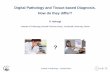 Digital Pathology and Tissue-based Diagnosis. How … · Digital Pathology and Tissue-based Diagnosis. ... Dictation, Images, Annotation ... Advantages of Virtual Microscopy