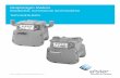 Residential, Commercial and Industrial Technical METER... · Diaphragm Meters Residential, Commercial