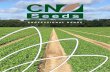 PROFESSIONAL RANGE - CN Seeds · The Company CN Seeds Ltd is a family owned company established in 1990. We are specialised in the breeding,