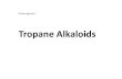 Tropane Alkaloids - suli-pharma.com · White ppt Hyoscine ... • The total Alkaloids are hydrolysed to obtain the free base. • The base is then Methylated with HCl in MeOH.