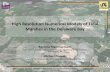 High Resolution Numerical Models of Tidal Marshes in .Delaware Estuary Delaware Estuary Science &