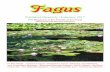 The Magazine of the Friends of the Royal Tasmanian ... · The Magazine of the Friends of the Royal Tasmanian Botanical Gardens In this issue: ... ture teams during busy times. Purchase