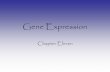 Gene Expression - University of Vermontbiology/Classes/past-classes/295C/pdf/11_GeneExpr… · What is Gene Expression? • When a gene is expressed – that gene’s protein product