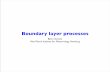 Boundary layer processes - ECMWF · Boundary layer processes Bjorn Stevens Max Planck Institute for Meteorology, Hamburg