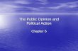 The Public Opinion and Political Action - FISDteachers.fisd.org/Teachers/tomm/SiteAssets/SitePages/AP U.S... · beliefs and attitudes about government and politics. –This political