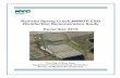 Revised Spring Creek AWWTP CSO Disinfection ... Spring Creek AWWTP CSO Disinfection Demonstration Study December 2015 The City of New York Department of Environmental Protection Bureau