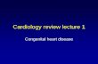 Congenital heart disease - web2.aabu.edu.jo · Congenital Heart Disease ... congenital heart defects. Structural heart disease Acyanotic with shunt