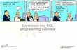 Databases and SQL programming overview · Programming with a procedural language Write your own postgreSQL functions! PL/pgSQL (similar to Oracle's PL/SQL  )