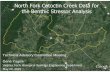 North Fork Catoctin Creek Data for the Benthic Stressor ... · North Fork Catoctin Creek Data for the Benthic Stressor Analysis 1 . ... Naididae Collector 8 5 6 ... habitat Embeddedness;