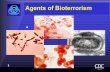 Agents of Bioterrorism - agdefense.comagdefense.com/Reference files/Agentsof BioTerrorism.pdf · Agents of Bioterrorism. 2 Objectives ... Definition BSL-2 Laboratory with a certified
