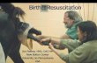 Birth Resuscitation - NICUvetnicuvet.com/NICUvet/Equine-Perinatoloy/Web_slides_meetings/ECEIM... · Transition from fetal circulation ... before birth and continues weeks after ...