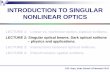 INTRODUCTION TO SINGULAR NONLINEAR OPTICS … · INTRODUCTION TO SINGULAR NONLINEAR OPTICS ... wavefronts of the tide, ... * caustics are singularities, ...