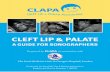 CLEFT LIP & PALATE - CLAPA · CLEFT LIP & PALATE A GUIDE FOR SONOGRAPHERS CONTENTS 4 Embryological development of the lip and palate 6 Incidence of cleft lip and palate 6-8 Examining