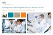 Putting animal welfare principles and 3Rs into action … · Putting animal welfare principles and 3Rs into action European Pharmaceutical Industry Report 2016 Update. 2 ... to minimise