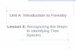 Unit A: Introduction to Forestry · bud, stem, flower and fruit morphology. 14 ... The arrangement of leaves and buds ... plant types. 36