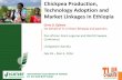 Chickpea Production, Technology Adoption and Market ...gl2016conf.iita.org/wp-content/uploads/2016/03/Chickpea-Production... · Chickpea Production, Technology Adoption and Market