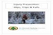 Injury Prevention: Slips, Trips & Falls - BC Forest Safe · Injury Prevention: Slips, Trips & Falls April 2012 Injury Prevention can happen in many ways – it could be an in depth