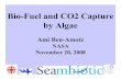 Bio-Fuel and CO2 Capture by Algae - The University ofpathway.soe.uq.edu.au/mediawiki/images/1/17/BenAmotz.pdf · Bio-Fuel and CO2 Capture by Algae Ami Ben-Amotz NASA November 20,