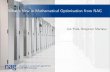 What's New in Mathematical Optimisation from NAG · What's New in Mathematical Optimisation from NAG Jan Fiala, ... wTo approches to tackle these equations ... portfolio optimization