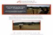 PDF Constelaciones con caballos ESP - …martalbaladejo.com/wp-content/uploads/2017/12/PDF-Constelaciones... · Constelaciones con Caballos Una nueva manera de hacer coaching sistémico: