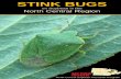 on Soybean in the North Central Region - Home | … bugs of... · Susan Ellis, Bugwood.org Herb Pilcher, Bugwood.org Herb Pilcher, Bugwood.org There are two subspecies of E. tristigmus