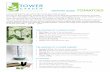 GrowinG GuiDe: TomAToeS - towergarden.com · Tower Garden® Tip:  How long ‘til you can eat ‘em? In general, ...
