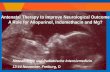 Antenatal Therapy to Improve Neurological Outcome … · Antenatal Therapy to Improve Neurological Outcome A Role for Allopurinol, Indomethacin and Mg? ... (cerebral palsy)