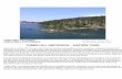 Tubbs Hill brochure - City of Coeur d'Alene Hill... · The flakes of mica in lakes and streams are known as "fool’s ... The tree species that you will see most on Tubbs Hill are