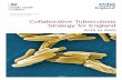 Collaborative Tuberculosis Strategy for England · This Collaborative Tuberculosis Strategy for England 2015 to 2020, ... meet the WHO End TB Strategy milestone of reducing TB ...