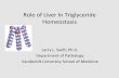 Role of Liver In Triglyceride Homeostasis - mc.vanderbilt.edu · Vanderbilt University School of Medicine. Metabolic Cycle of Fatty Acids and Triglycerides VLDLTG. ... •Absolute