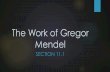The Work of Gregor Mendel - North Medford High …northmedfordscience.weebly.com/uploads/1/2/7/1/12710245/section_1… · Experiments of Gregor Mendel ! Heredity ! Set of characteristics