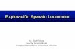 Exploración Aparato Locomotor - airemb.esairemb.es/.../uploads/2016/01/...aparato-locomotor.pdf · Exploración Aparato Locomotor ... Exploración Apto Locomotor ... • Zona de