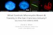 What Controls Microcystis Bloom in the San Francisco Estuary? · What Controls Microcystis Bloom & Toxicity in the San Francisco Estuary? ... Gloria Blondina, Abdu Mekebri & Dave