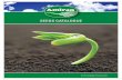 SEEDS CATALOGUE - Amiran Kenya€¦ · 2 | SEEDS CATALOGUE Our journey to offer the complete solution begins with provision of Amiran Seeds. To boost your harvest you will require