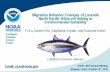 Migration Behavior Changes of Juvenile North Pacific … · Migration Behavior Changes of Juvenile North Pacific Albacore linking to Environmental Variability Southwest Fisheries