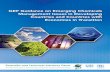 GEF Guidance on Emerging Chemicals Management … · Emerging Chemicals Management Issues in Developing Countries and Countries with Economies in Transition. A ... Emerging Chemical