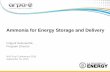 Ammonia for Energy Storage and Delivery - NH3 … · Ammonia for Energy Storage and Delivery Grigorii Soloveichik, Program Director NH3 Fuel Conference 2016 September 19, 2016. ...