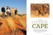 National Geographic Traveller - Xaus Lodge · bushman crafts; mongoose, Kgalagadi Transfrontier Park ... National Geographic Traveller | June 2014. IMAGES: MEERA DATTANI; ARNE MULLER.