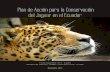 Plan de Acción para la Conservación del Jaguar en el …€¦ · La realización del Plan de ... Existen tres amenazas principales para la conservación del jaguar: 1. Pérdida