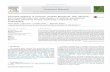 Amended diagnosis of Colveraia variabilis Klinghardt, …webb.deu.edu.tr/sacitozer/kitaplar/201710311248011.pdf · Karacabey-Oztemür and Selçuk, 1981€ and Branislavia Sladic-Trifunovic,