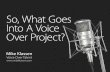 So, What Goes Into A Voice Over Project? fileSo, What Goes Into A Voice Over Project? Voice Over Talent  Mike Klassen