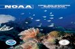 NOAA CORAL REEF ECOSYSTEM RESEARCH PLAN · NOAA CORAL REEF ECOSYSTEM RESEARCH PLAN ... NOAA Coral Reef Conservation Program. ... Craig Dahlgren, Deborah Gochfeld, Lance Horn, Doug