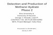 Detection and Production of Methane Hydrate Phase 2 Library/Research/Oil-Gas/methane... · Detection